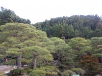 20121026_143722.jpg